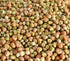 Pea Landrace